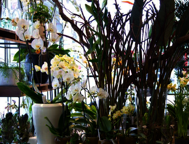 Blumen-Art-Manufaktur GmbH